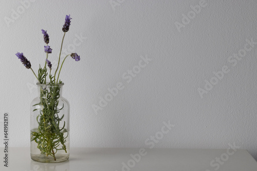 Purple lavender flowers in glass vase and copy space on white background