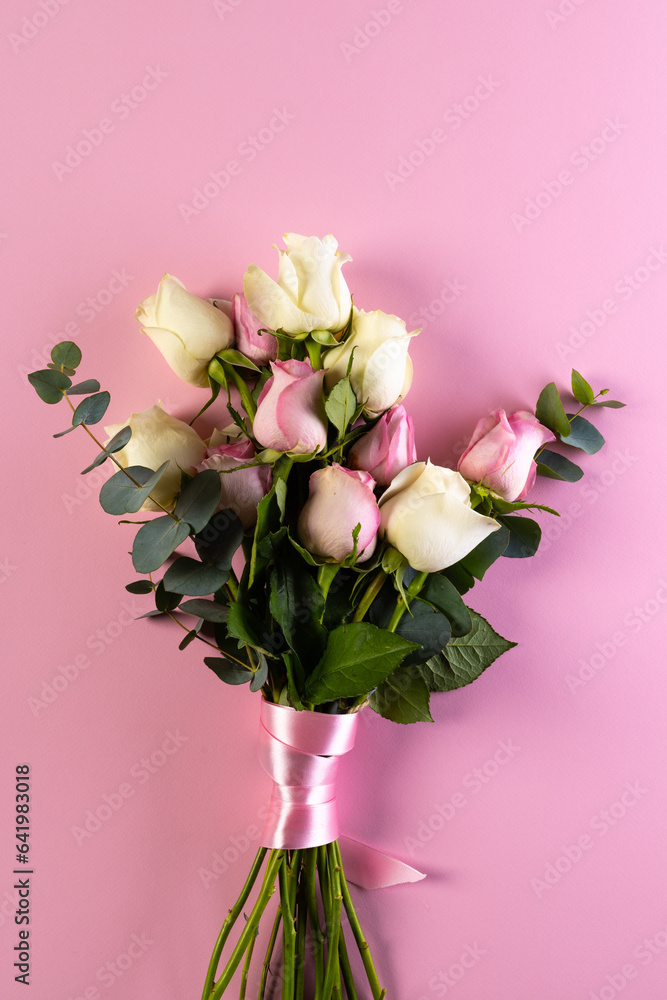 Fototapeta premium Vertical image of pink and white rose flowers and copy space on pink background