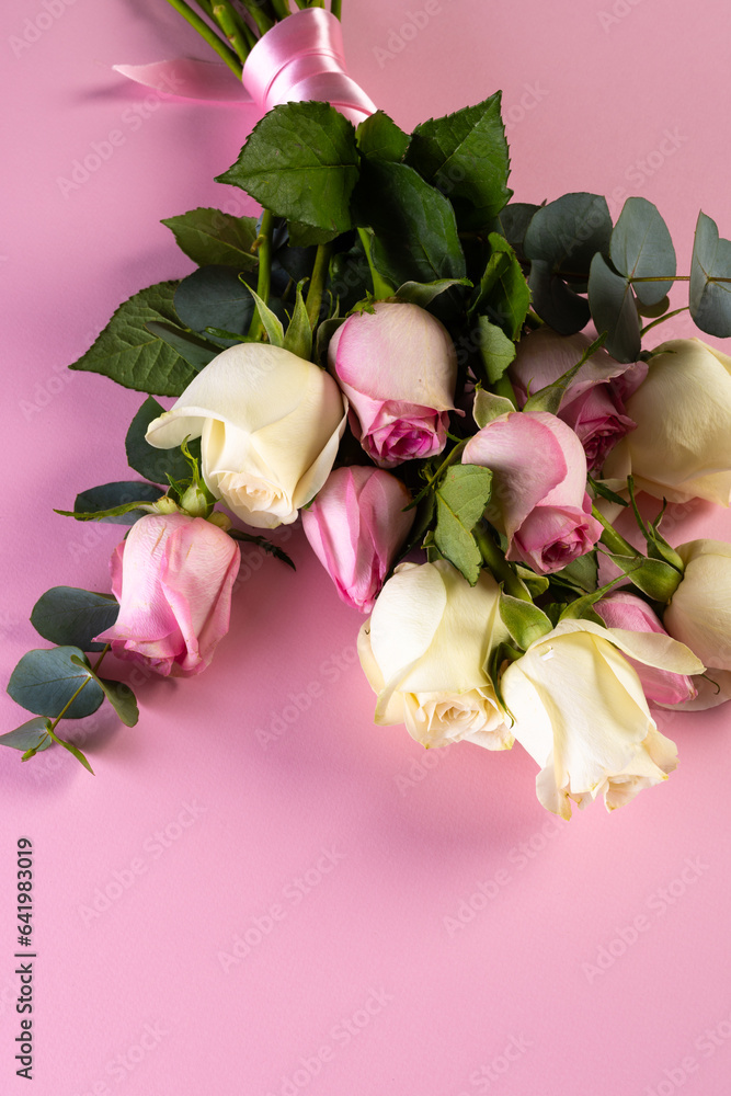 Fototapeta premium Vertical image of pink and white rose flowers and copy space on pink background