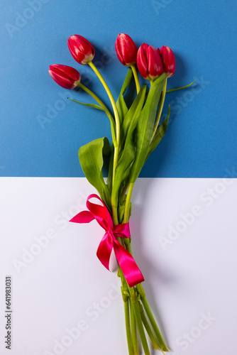 Vertical image of bunch of red tulips and copy space on blue and white background