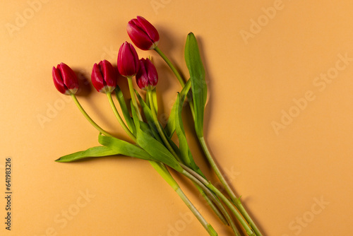 Bunch of red tulips and copy space on orange background