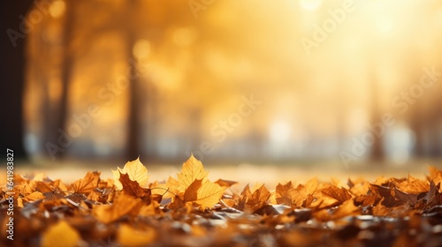 Beautiful autumn landscape with yellow leaves and sun. Colorful foliage in the park. Falling leaves natural background.