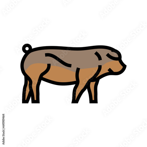 duroc pig breed color icon vector. duroc pig breed sign. isolated symbol illustration