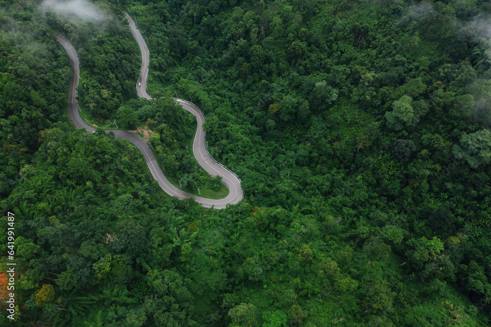 Aerial view road in the middle forest, Top view road going through green forest adventure, Ecosystem ecology healthy environment road trip travel net zero Aerial view road in the middle forest, Top view road going through green forest adventure, Ecosystem ecology healthy environment road trip travel net zero