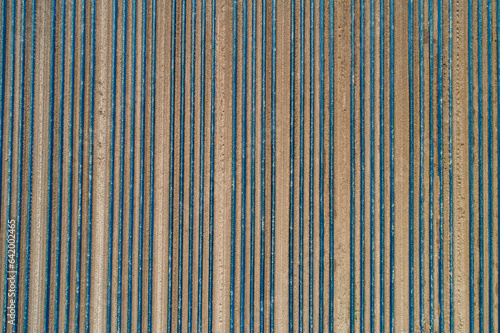 Aerial view polyethylene tunnels in rows in agricultural field, Darmstadt, Germany
 photo