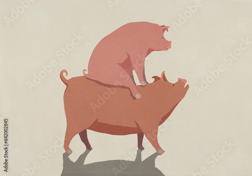 Pink pig freeloading, piggybacking
