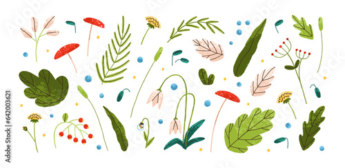 Leaf plants, flowers, floral branches set. Botanical design elements. Nature decoration, spring decor, decorative green leaves, herbs cliparts. Flat vector illustration isolated on white background