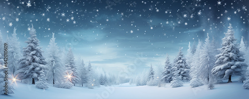 Winter Scenery at Night © worldofbackgrounds