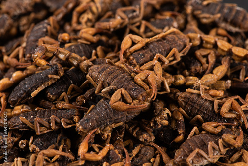 Dried scorpion texture background.