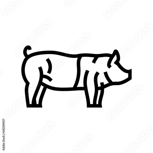 hampshire pig breed line icon vector. hampshire pig breed sign. isolated contour symbol black illustration