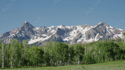 Snow Capped San Juan Mountains Near Telluride, Colorado With Forest Trees In Foreground On Clear Day With Blue Skies. Locked Off Shot photo