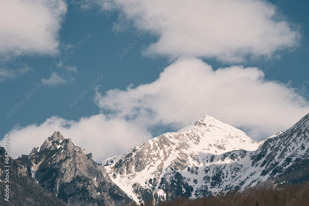 Swiss Alps. Majestic Dolomites Landscape. Snow-Covered Mountains and Pine Trees in the Alps