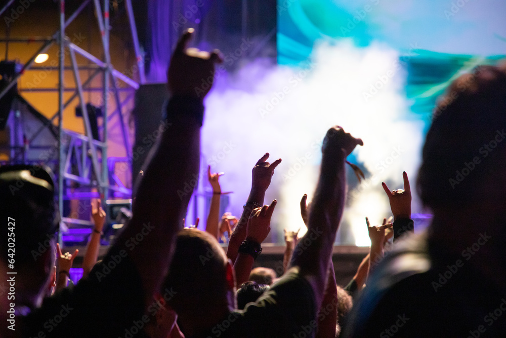 crowd at concert - summer music festival.