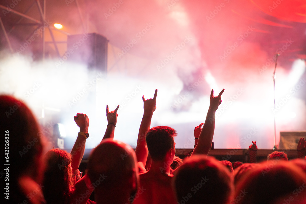 crowd at concert - summer music festival.