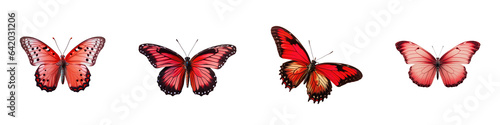 Red butterfly with beautiful lower wings flying up against transparent background © 2rogan