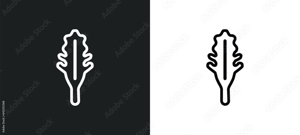 arugula icon isolated in white and black colors. arugula outline vector icon from fruits and vegetables collection for web, mobile apps and ui.