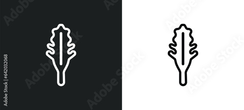 arugula icon isolated in white and black colors. arugula outline vector icon from fruits and vegetables collection for web, mobile apps and ui.