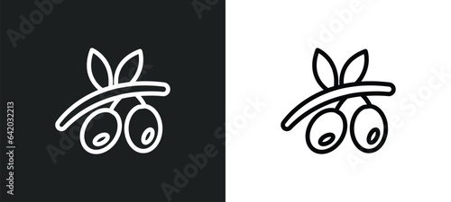 olive icon isolated in white and black colors. olive outline vector icon from fruits collection for web, mobile apps and ui.