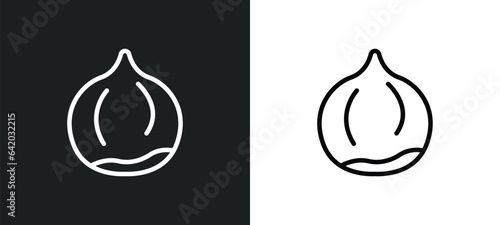 chestnut icon isolated in white and black colors. chestnut outline vector icon from fruits collection for web, mobile apps and ui.