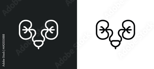 urology icon isolated in white and black colors. urology outline vector icon from health and medical collection for web, mobile apps and ui.