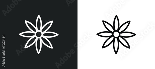 anise icon isolated in white and black colors. anise outline vector icon from india collection for web, mobile apps and ui.