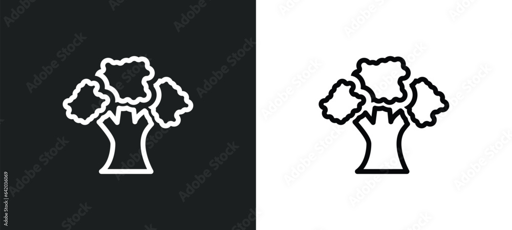shagbark hickory tree icon isolated in white and black colors. shagbark hickory tree outline vector icon from nature collection for web, mobile apps and ui.
