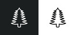 white spruce tree icon isolated in white and black colors. white spruce tree outline vector icon from nature collection for web, mobile apps and ui.