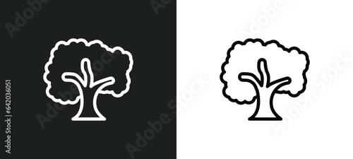 sycamore tree icon isolated in white and black colors. sycamore tree outline vector icon from nature collection for web, mobile apps and ui.