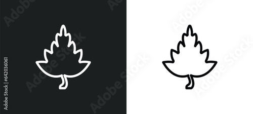 hawthorn tree icon isolated in white and black colors. hawthorn tree outline vector icon from nature collection for web, mobile apps and ui.