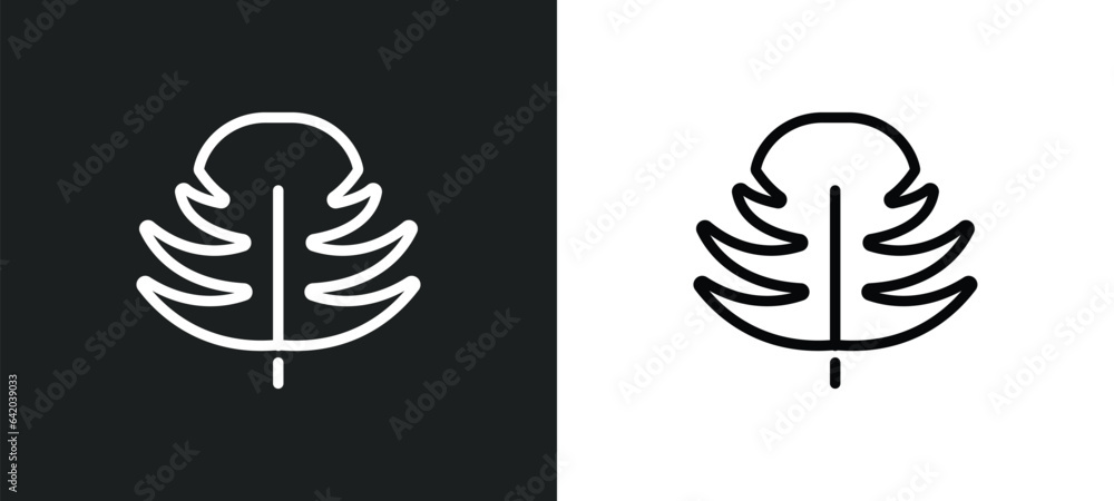 leaf monstera icon isolated in white and black colors. leaf monstera outline vector icon from nature collection for web, mobile apps and ui.