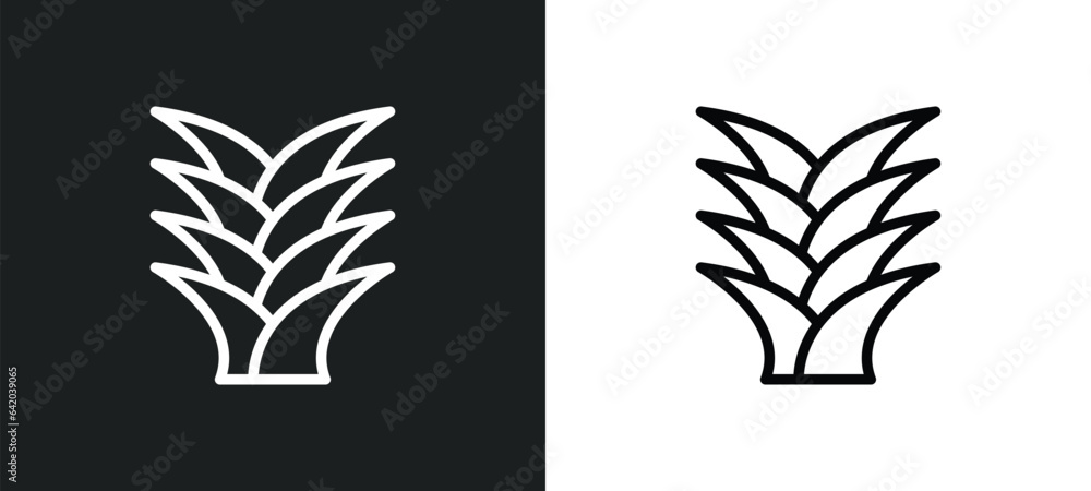 yucca icon isolated in white and black colors. yucca outline vector icon from nature collection for web, mobile apps and ui. - obrazy, fototapety, plakaty 