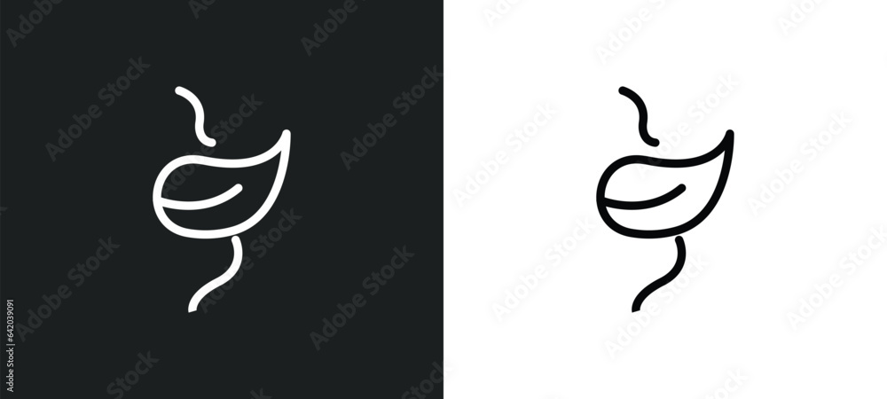 Fototapeta premium perfoliate icon isolated in white and black colors. perfoliate outline vector icon from nature collection for web, mobile apps and ui.