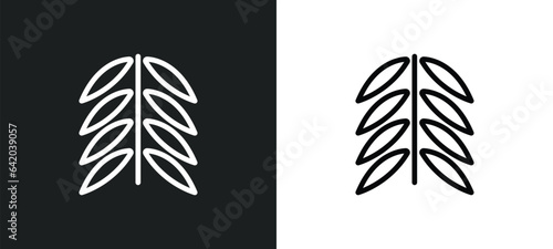black willow icon isolated in white and black colors. black willow outline vector icon from nature collection for web, mobile apps and ui.