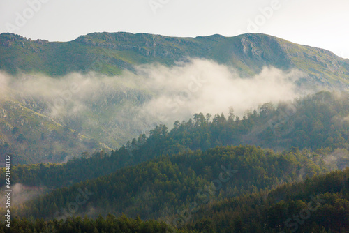 Mountains in the clouds. View of the mountain peak in the fog. Beautiful landscape with high cliffs. Dedegol. Turkey.