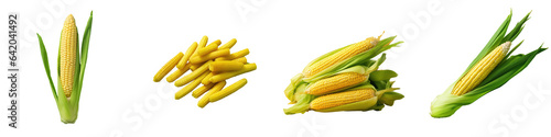 transparent background baby corn isolated