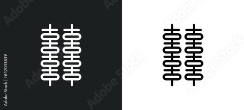 two brochettes icon isolated in white and black colors. two brochettes outline vector icon from bistro and restaurant collection for web, mobile apps and ui.