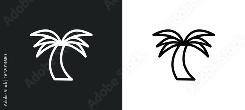 palm tree icon isolated in white and black colors. palm tree outline vector icon from brazilia collection for web  mobile apps and ui.