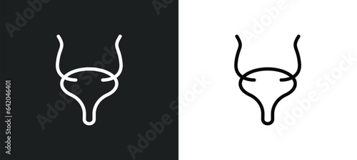 bladder icon isolated in white and black colors. bladder outline vector icon from medical collection for web, mobile apps and ui.
