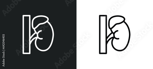 adrenal gland icon isolated in white and black colors. adrenal gland outline vector icon from medical collection for web, mobile apps and ui.