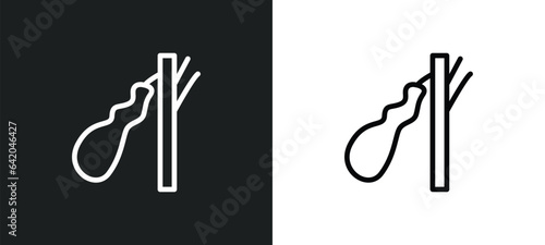 gallbladder icon isolated in white and black colors. gallbladder outline vector icon from medical collection for web, mobile apps and ui.