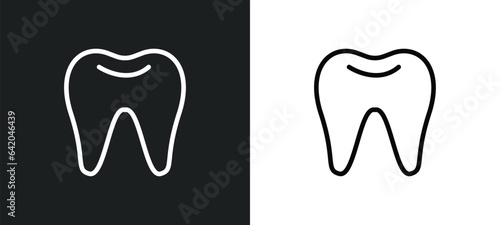 molar icon isolated in white and black colors. molar outline vector icon from medical collection for web, mobile apps and ui.