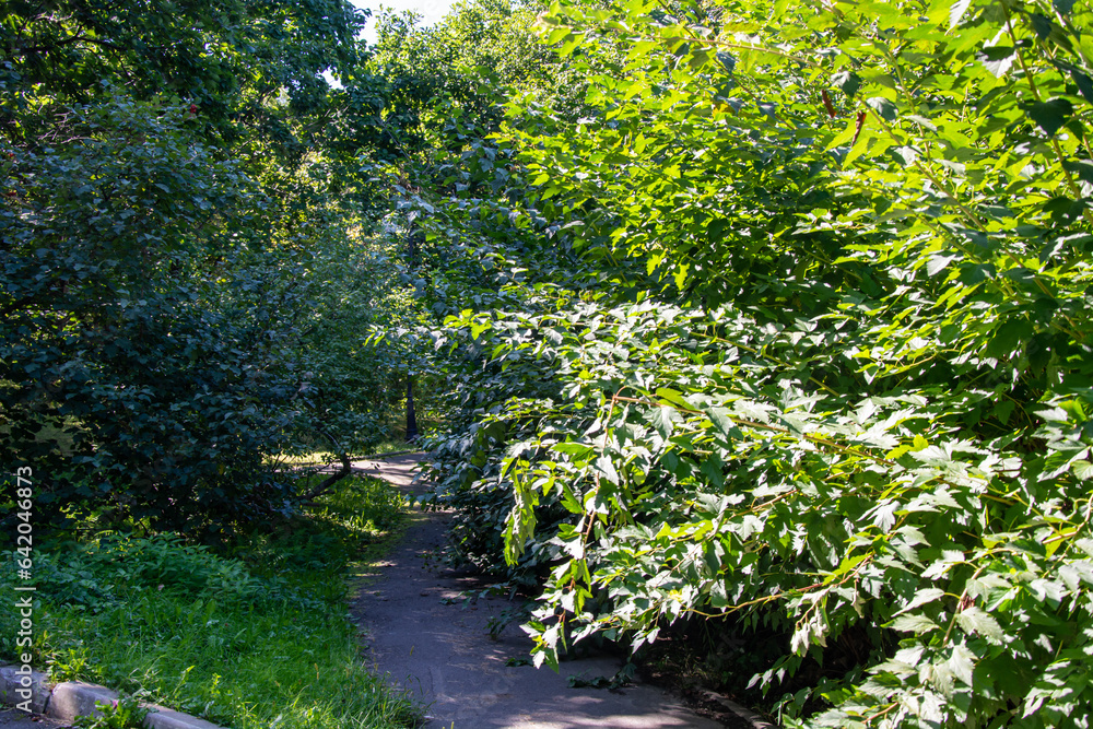 Scenic view of a winding stone path through a beautiful green park