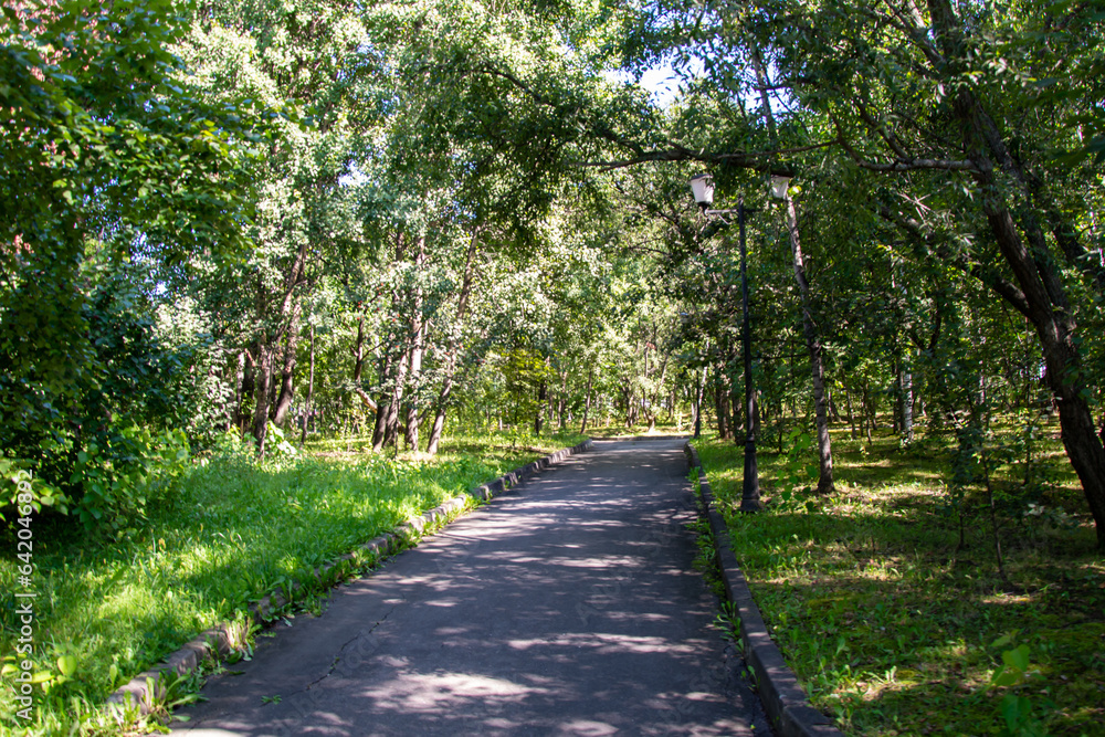 Scenic view of a winding stone path through a beautiful green park Scenic view of a winding stone path through a beautiful green park