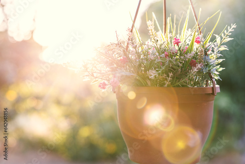 Spring decoration, flowers in the sun