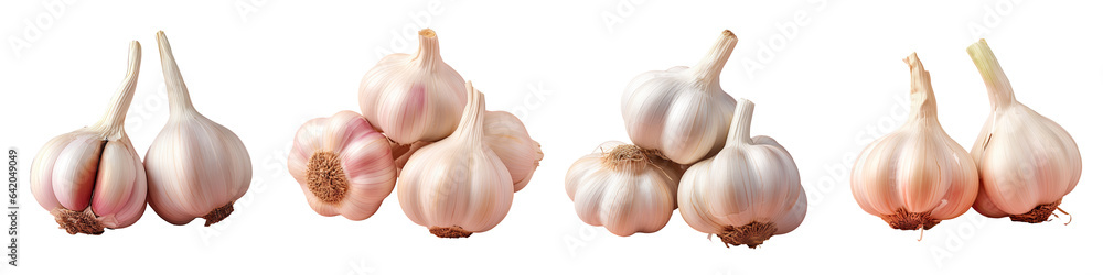 Garlic on a transparent background Garlic on a transparent background