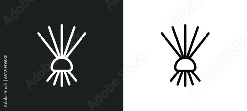 birching icon isolated in white and black colors. birching outline vector icon from sauna collection for web, mobile apps and ui.