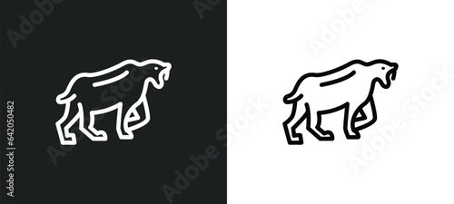saber toothed tiger icon isolated in white and black colors. saber toothed tiger outline vector icon from stone age collection for web, mobile apps and ui.