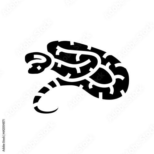 boa constrictor animal snake glyph icon vector. boa constrictor animal snake sign. isolated symbol illustration