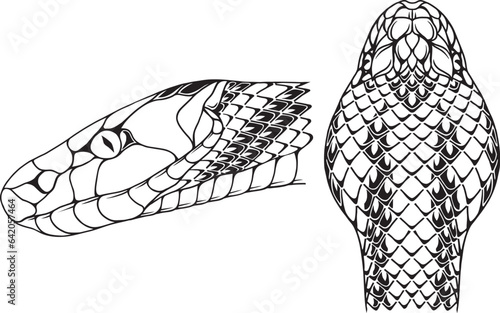 Stylized contour snakes. Line art, sketch style, tattoo, design elements