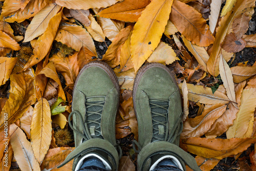 green boots on yellow leaves in autumn